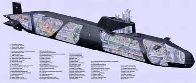 Атомная подводная лодка проекта «Борей» в разрезе. Инфографика