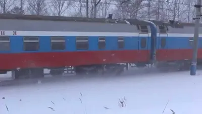 Ласка», «Финист» и «Аметист», — в России выбирают название для нового поезда  | СТОЛИЦА на Онего