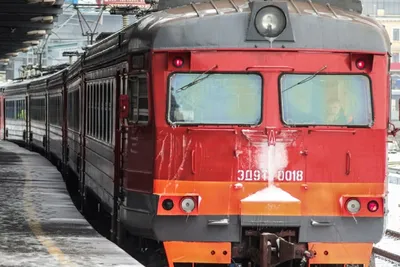 Дебош в поезде «Владивосток-Новосибирск»: избиение беременной и угрозы  всему вагону - AmurMedia.ru