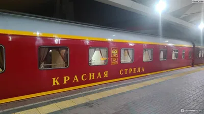 Поезд № 53/54 Гранд Экспресс Санкт-Петербург — Москва — Санкт-Петербург -  «ГРАНД ЭКСПРЕСС - поезд с претензией на шик. Оцениваем все удобства вагона  СВ (люкс), который называют \"отелем на колесах\"» | отзывы