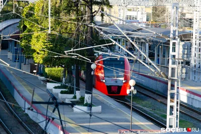 РЖД добавит вагоны к поездам, проходящим через Ростов - 24 июня 2023 -  161.ru