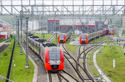 поезд Москва-Новороссийск № 030 премиум - «Ужас, не соответствует категорию  фирменного поезда премиум класса» | отзывы