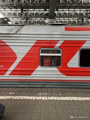 Отзыв о Поезд №030Й/029Й \"Премиум\" Новороссийск - Москва | Комфортно и  быстро добраться в нужное место!