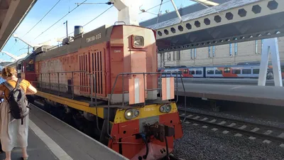 Фирменный поезд «Северная Пальмира»: расписание и цена