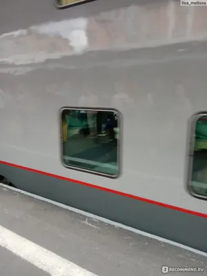 Отзыв о Поезд №081 Белгород-Санкт Петербург (Россия) | Это была не поездка,  а самая настоящая сказка!