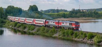 Поезд с красным поездом на фоне пейзажа с горами и деревьями. | Премиум  векторы