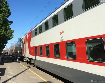 Электровоз ЭП1М-559 с поездом №115 Санкт-Петербург - Адлер - YouTube
