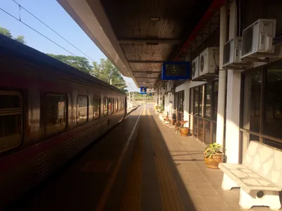 Схема вагонов поезда Сапсан, расположение мест в вагонах бизнес и эконом  классов