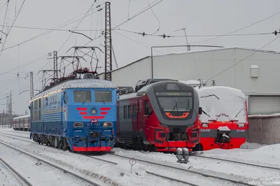 Поезд 120в белгород санкт петербург (22 фото) - фото - картинки и рисунки:  скачать бесплатно