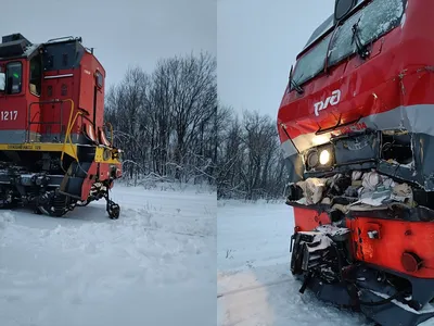 Trainz 2019, Поезд №126 Ефимьево-Вельск - YouTube