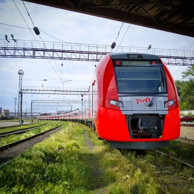 От Сапсана до Ласточки: какие поезда ходят из Москвы в Питер | СКИДКА РУ —  кэшбэк, промокоды и скидки!