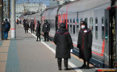 Хвойные ветки и «вязаный» поезд: как украсили городской транспорт Москвы