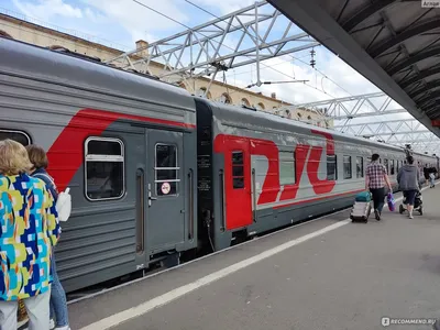 259С / 259А поезд Анапа - Санкт-Петербург - «Не очень дешево и сердито  путешествую на юг поездом 259 А Санкт-Петербург-Анапа на верхней полке  (июнь 2022)» | отзывы