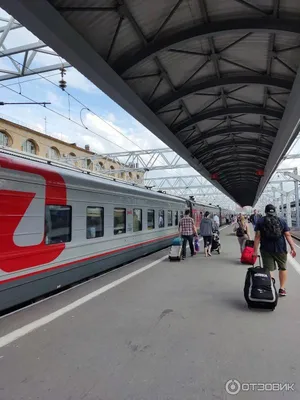 Отзыв о Поезд №259 Санкт-Петербург-Анапа | Поездка с севера на юг  эконом-классом - все детали
