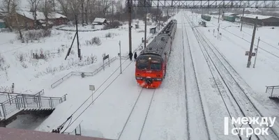 Отзыв о Поезд №290Е Екатеринбург-Анапа | Приятное путешествие на юг