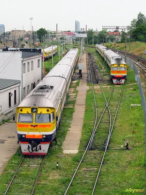 File:ДР1А-290, Латвия, Рига, ПТО дизель-поездов депо Засулаукс (Trainpix  35293).jpg - Wikimedia Commons