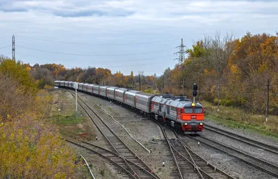 Trainz19, Поезд №306М Москва - Адлер | Serega56 | Дзен