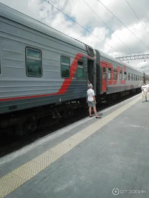 Отзыв о Поезд 337-Самара-Санкт-Петербург | Все отлично.