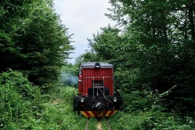 Локомотив BRIO поезд зеленый со световыми и звуковыми эффектами купить по  цене 3510 ₽ в интернет-магазине Детский мир