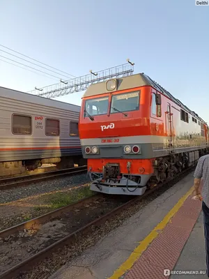 Пермь-Адлер №353 - «Едет долго, куча остановок на \"пропустить скоростные\",  не было биотуалета в вагоне, но в общем, вполне неплохой поезд» | отзывы