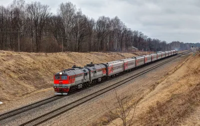 Посмотрите на новые поезда «Москва—Санкт-Петербург», которые будут  развивать скорость до 360 км/ч | Sobaka.ru
