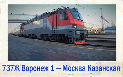 Билеты на поезд из Воронежа в Москву в новогодние каникулы подорожали в 9  раз – Новости Воронежа и Воронежской области – Вести Воронеж