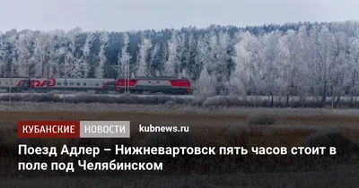 Поезд Адлер – Нижневартовск пять часов стоит в поле под Челябинском. 4  января 2024 г. Кубанские новости
