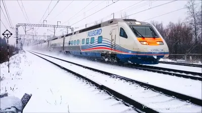 Финские железнодорожники рассказали о судьбе Allegro – поезд снова  запустят, но по другому маршруту | Yle Novosti | Yle