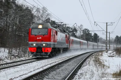 Дополнительные поезда на юг начнут ходить из Вологды и Череповца