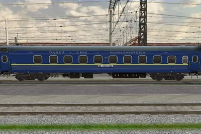 Забеги тараканов\": в украинском поезде обнаружили нежелательных  \"пассажиров\". Фотофакт | Общество | OBOZ.UA