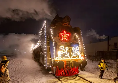 Он настоящий\": как томичи встречали поезд Деда Мороза - РИА Томск
