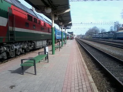 Польша собирается запускать дополнительные поезда в Беларусь - Польша  Сегодня