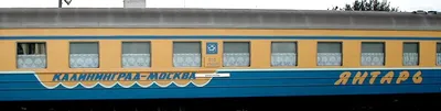 Янтарь (поезд) — Википедия