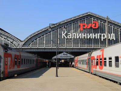 Билеты на поезд Янтарь в Калининград | ВКонтакте