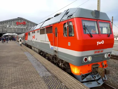 Душ, кондиционер и телевизор: фирменный поезд “Янтарь” пополнится вагонами  бизнес-класса - Рамблер/новости