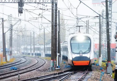 Поезда «Иволга» начали курсировать по МЦД вместе с обычными электричками -  В регионе - РИАМО в Реутове