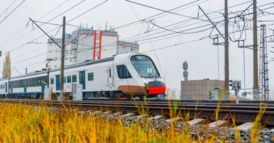 Первые два поезда «Иволга» для МЦД собрали на Тверском вагоностроительном  заводе - Транспорт - РИАМО в Подольске