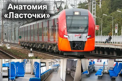 Ласточки» Москва – Орел – Курск начнут останавливаться на станции Ясная  Поляна с 23 февраля