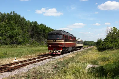 В поезде Москва — Хельсинки появится библиотека - Афиша Daily