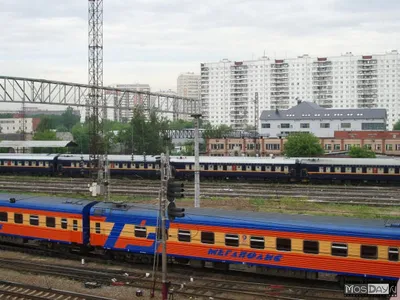 Отзыв о Скорый поезд \"Мегаполис\" (Москва - Санкт-Петербург) | Мегаполис  самый любимый и уютный.