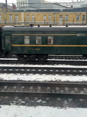 Скорый поезд Москва - Пекин.А говорили что закрыли границу | Пикабу