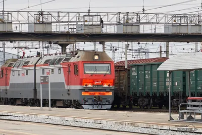 Прибытие поезда Пекин-Москва в Красноярск | РИА Новости Медиабанк