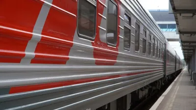 Поезд Москва – Симферополь задержали в Тамбовской области из-за проверки |  Происшествия | Аргументы и Факты