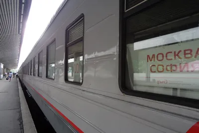 В начале рабочей недели, 13 ноября, в Петербург прибудет «Поезд здоровья» |  ЗДОРОВЬЕ | АиФ Санкт-Петербург