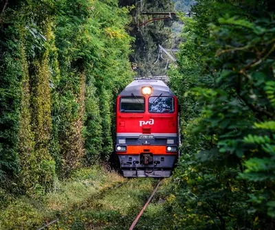 На летний сезон поезд «Белгород – Сухум» возвращается в расписание
