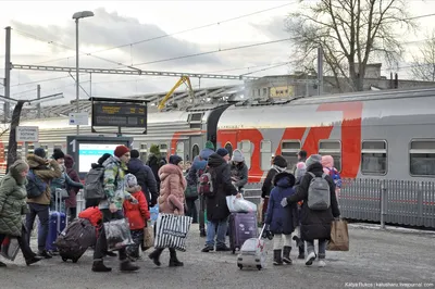 С сегодняшнего дня поезд Москва-Таллин-Москва, больше не осуществляет…:  ru_railway — LiveJournal