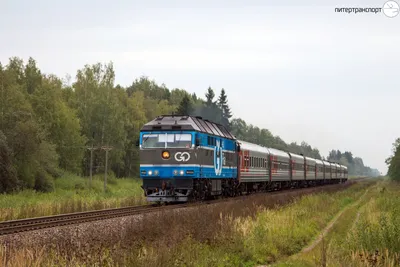 Поезд №33 из Таллина на Питер. Обзор и впечатления: periskop.su —  LiveJournal - Page 5