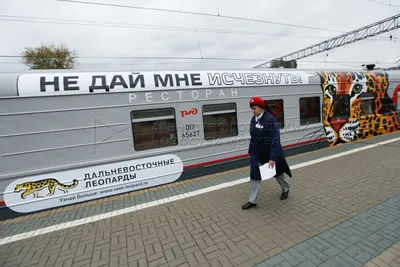 Поезд Москва — Владивосток попал в рейтинг самых \"храпящих\" в России -  EAOMedia.ru