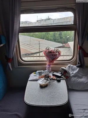 Обзор нового поезда Москва-Владивосток. В каких условиях теперь будут ехать  пассажиры | TravelManiac | Дзен
