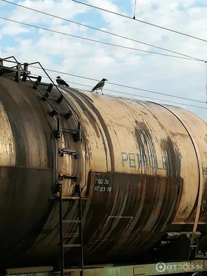 Пассажирский поезд «Адлер – Пермь» столкнулся с тепловозом в Ульяновской  области